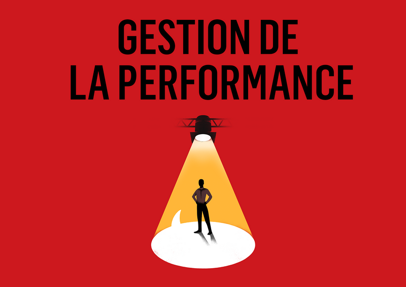 2025-11-20***Gestion de la performance