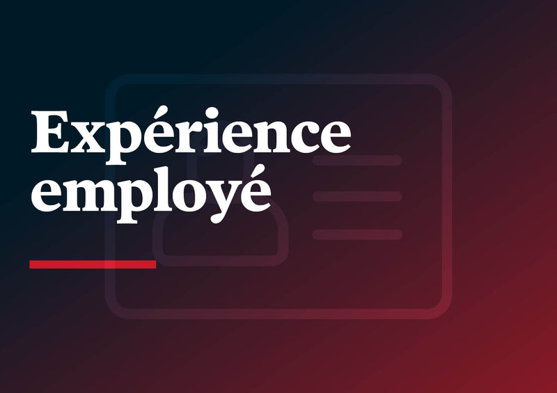 2023-11-28***Expérience employé